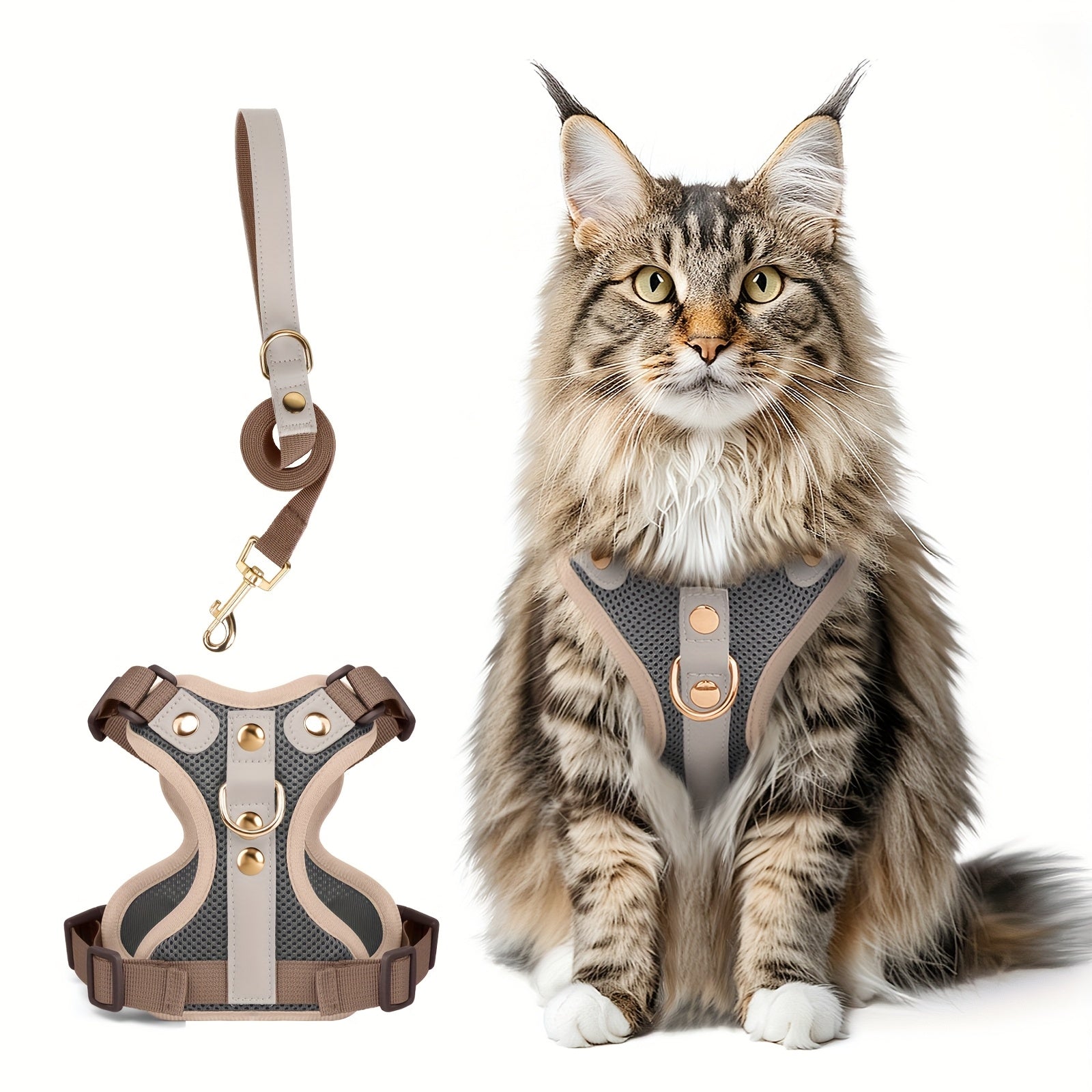 Harnais et laisse haut de gamme pour chats et chiens, maillage respirant, résistant, rivets décoratifs, D-ring doré, idéal promenades et entraînement.