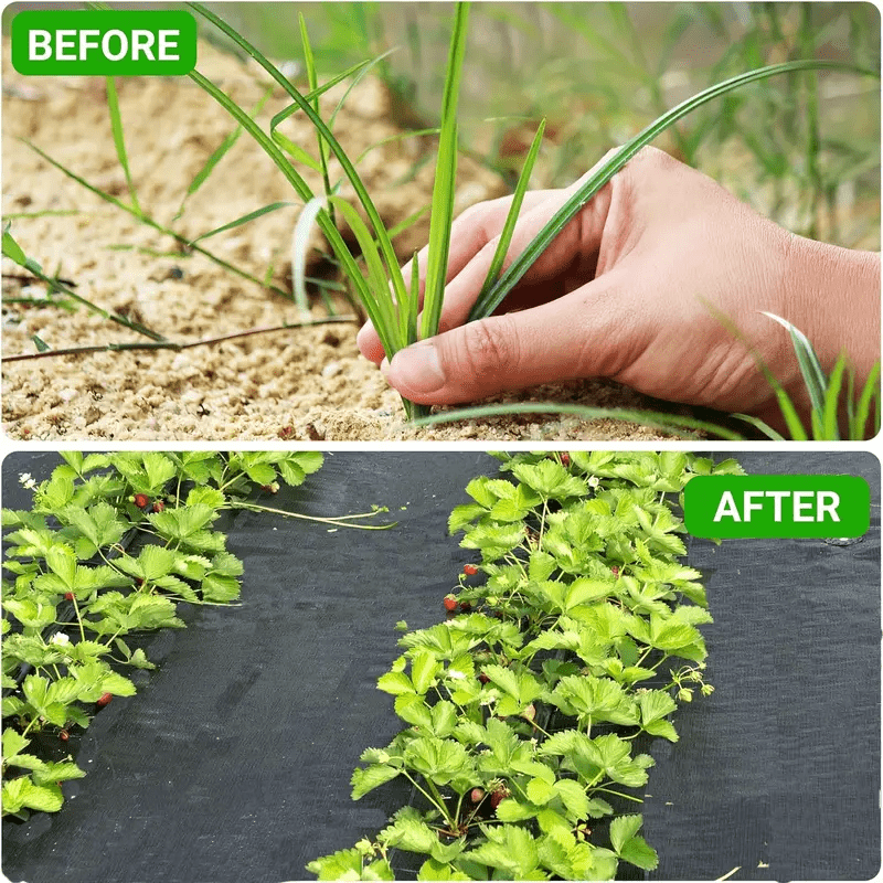 Breathable Hole Strawberry and Vegetable Planting Net for Garden Use - Durable PP Material, All-Season Usage, DIY Cuttable to Size, Suitable for Gardening Prevent Weed Growth Easy to use &amp; Store, Strawberry Growing Aid, Guard