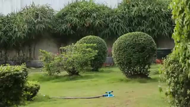 360-Degree Rotating Lawn Sprinkler Head - Multi-Functional Garden Irrigation Tool for Efficient Outdoor Watering, Adjustable Flow, Green Plastic Design, 360° Coverage for Lawns &amp; Gardens, Outdoor Sprinkler | Rotating Sprinkle