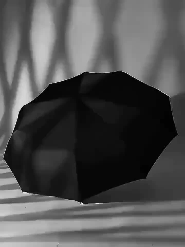 Parapluie automatique 10 baleines, coupe-vent, unisexe, ouverture en un clic, robuste et élégant, idéal pour voyages et usage quotidien.