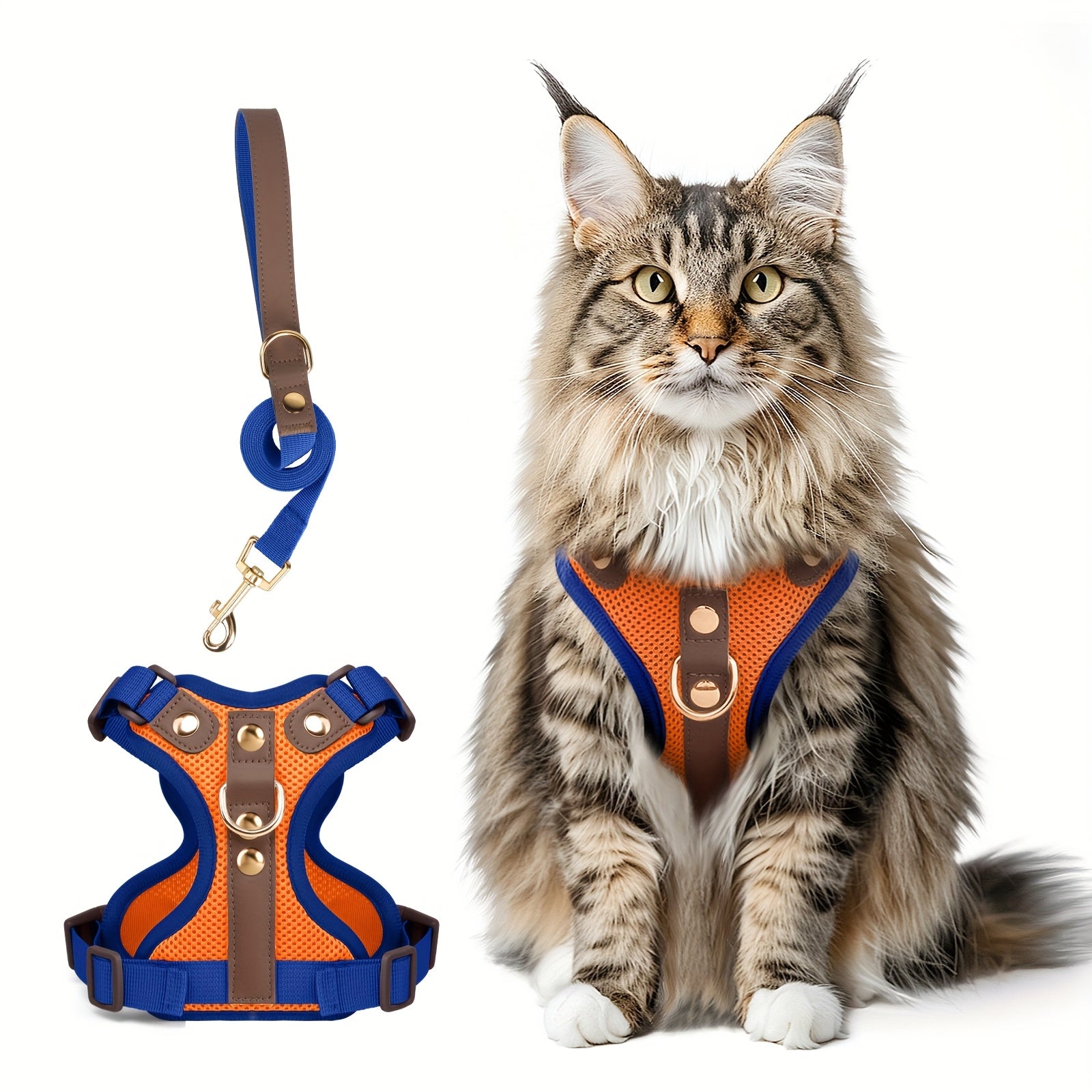 Harnais et laisse haut de gamme pour chats et chiens, maillage respirant, résistant, rivets décoratifs, D-ring doré, idéal promenades et entraînement.