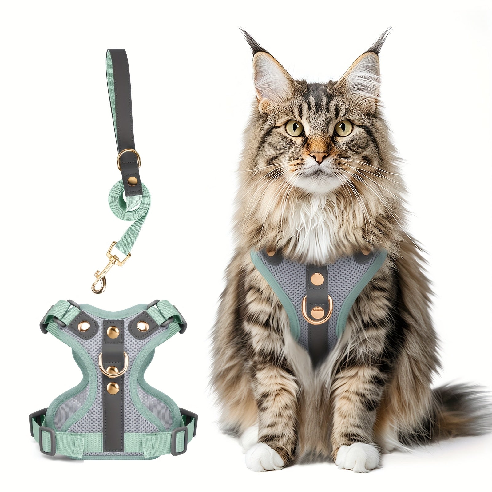 Harnais et laisse haut de gamme pour chats et chiens, maillage respirant, résistant, rivets décoratifs, D-ring doré, idéal promenades et entraînement.