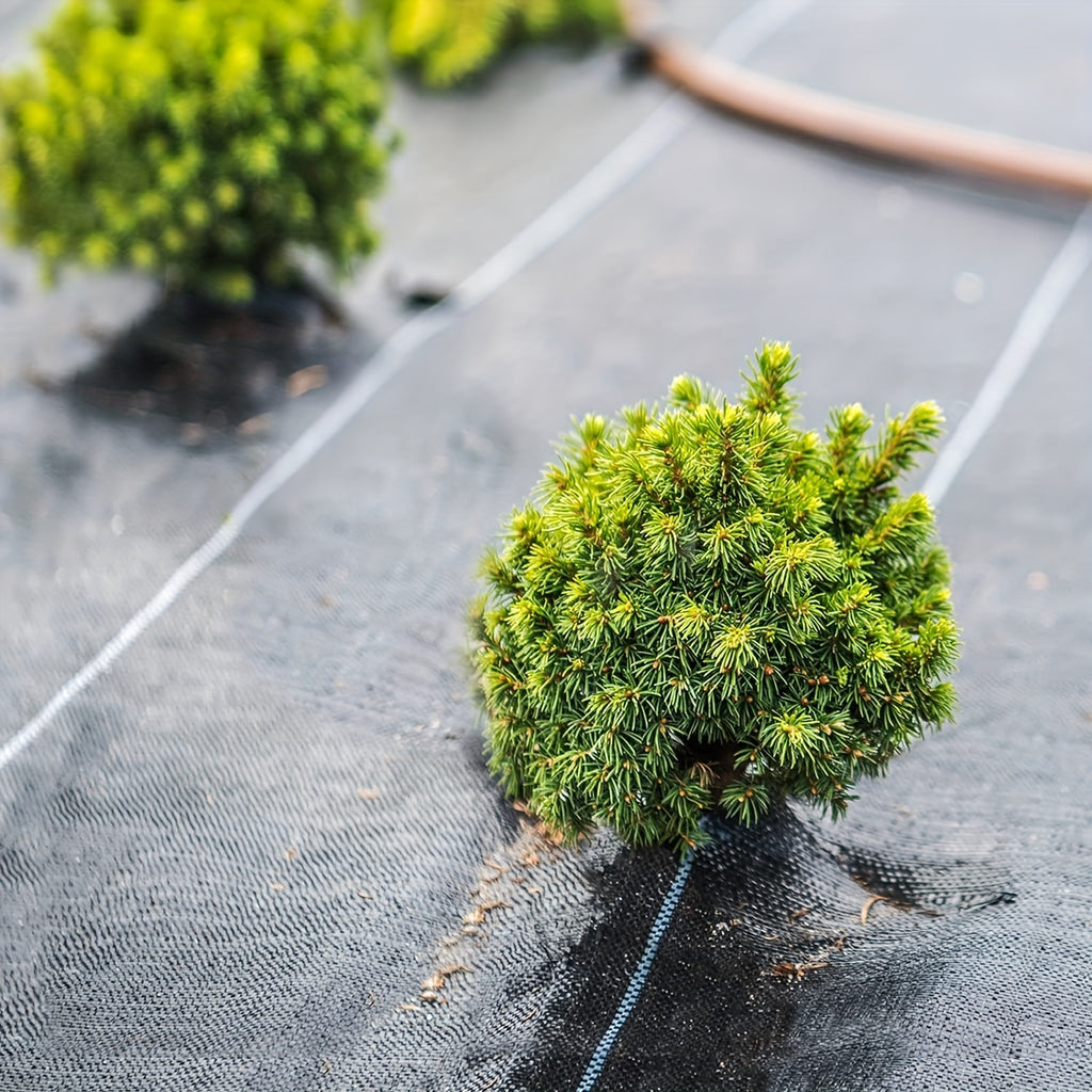 Rouleau de toile anti-mauvaises herbes noire, PP durable, surface texturée, contrôle efficace des mauvaises herbes, idéal fleurs, légumes et aménagement paysager.