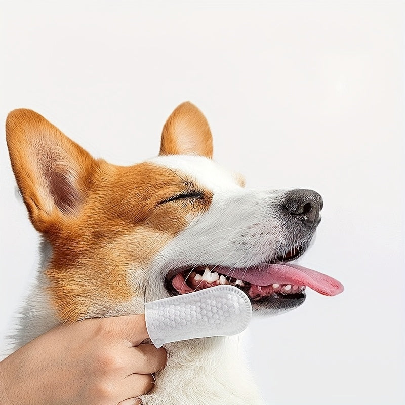 Couvre-doigts jetables pour nettoyage d'animaux (100 pcs). Idéal pour enlever le tartre, nettoyer les oreilles et assurer une haleine fraîche.