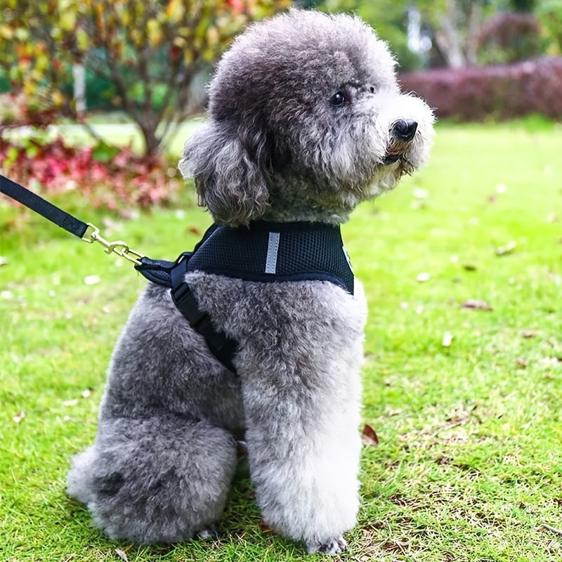 3pcs Set, Double Switch Retractable Pet Leash and Harness, Soft Nylon Mesh Vest for Cats & Small Dogs, Easy Control & Comfortable Safety, Hand Wash Only