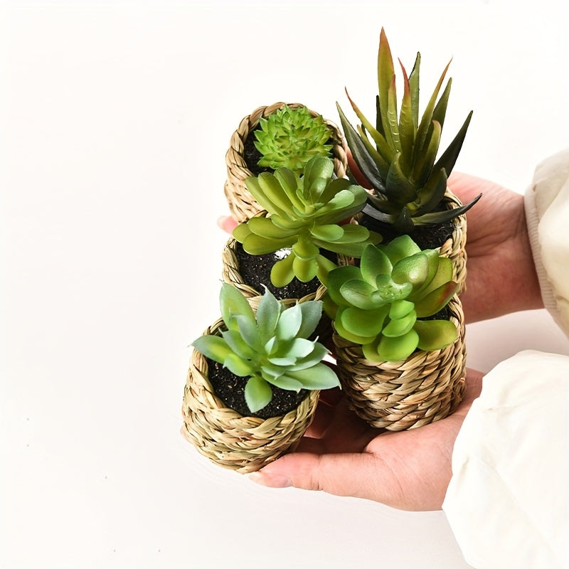 Lot de 5 plantes artificielles en pot Aloé et succulentes en plastique, décor intérieur ou extérieur, bureau, cuisine, mariage, idéal comme cadeau ou décoration maison.