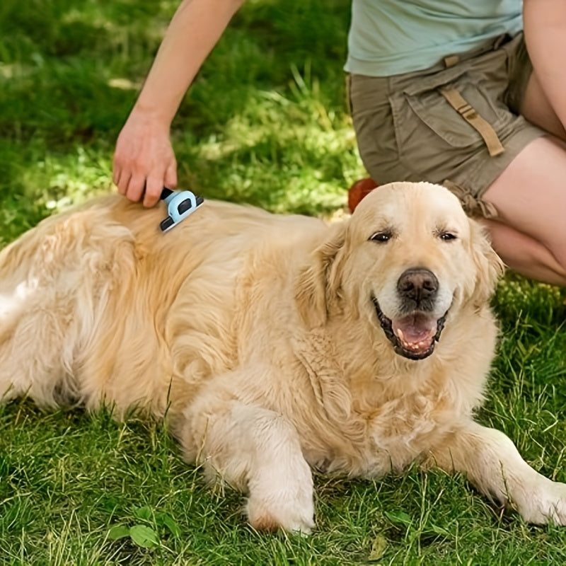 Brosse professionnelle de déshedding pour animaux. Réduit les poils de 95%, ergonomique, sans électricité, design bleu et noir, pour toutes les races.