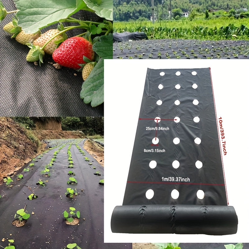 Breathable Hole Strawberry and Vegetable Planting Net for Garden Use - Durable PP Material, All-Season Usage, DIY Cuttable to Size, Suitable for Gardening Prevent Weed Growth Easy to use &amp; Store, Strawberry Growing Aid, Guard