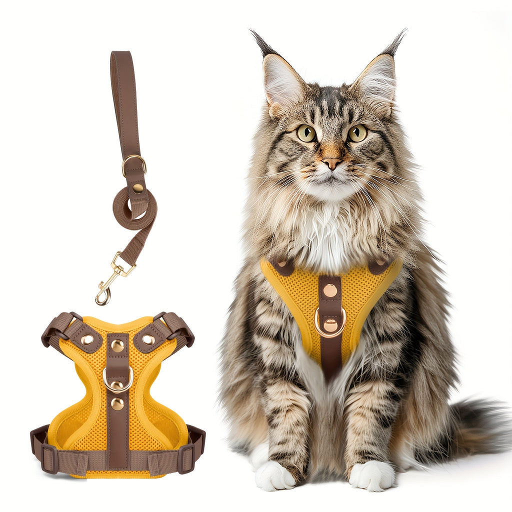 Harnais et laisse haut de gamme pour chats et chiens, maillage respirant, résistant, rivets décoratifs, D-ring doré, idéal promenades et entraînement.