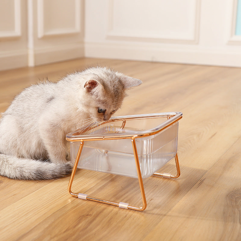 Bol double transparent vertical pour chats, facilite alimentation et hydratation, pratique et ergonomique, accessoire essentiel pour le bien-être félin.