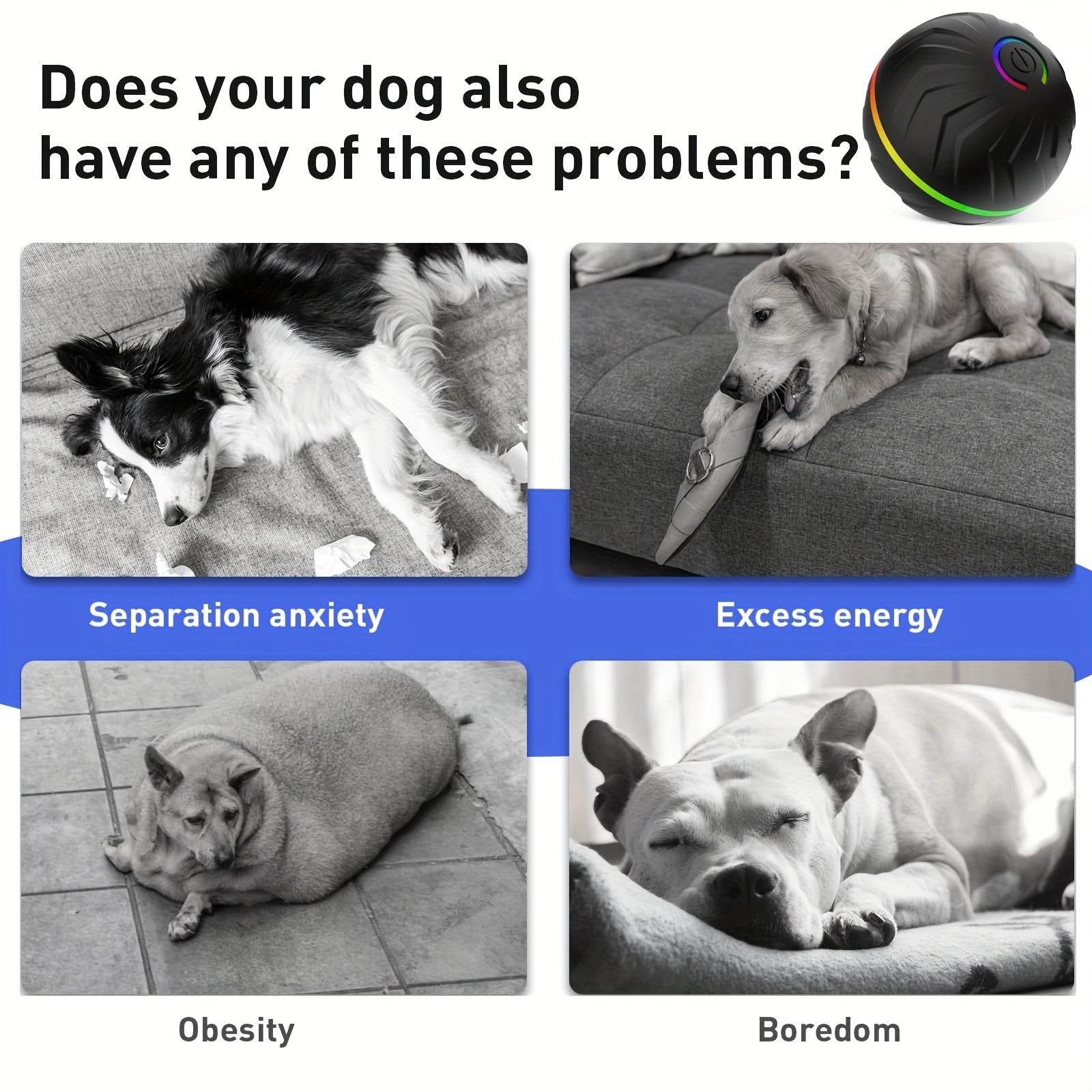 Balle interactive intelligente 6,6 cm, activation par mouvement, rebond automatique, durable et rechargeable, idéale pour chiens toutes tailles.