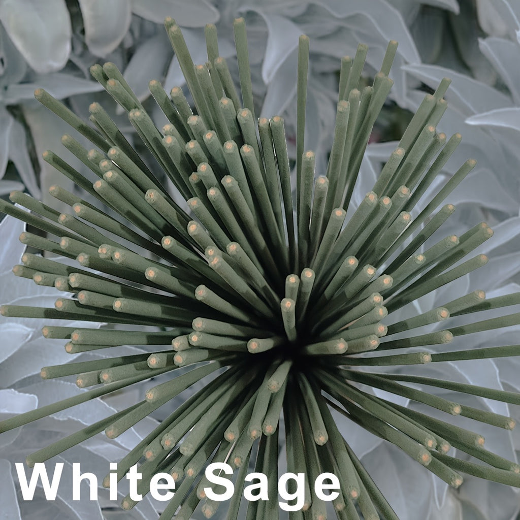 20/50 أعواد عطرية من المريمية البيضاء، 22.0 سم، مناسبة لليوجا والتأمل، وتنقية العقل، والتخلص من الطاقة السلبية