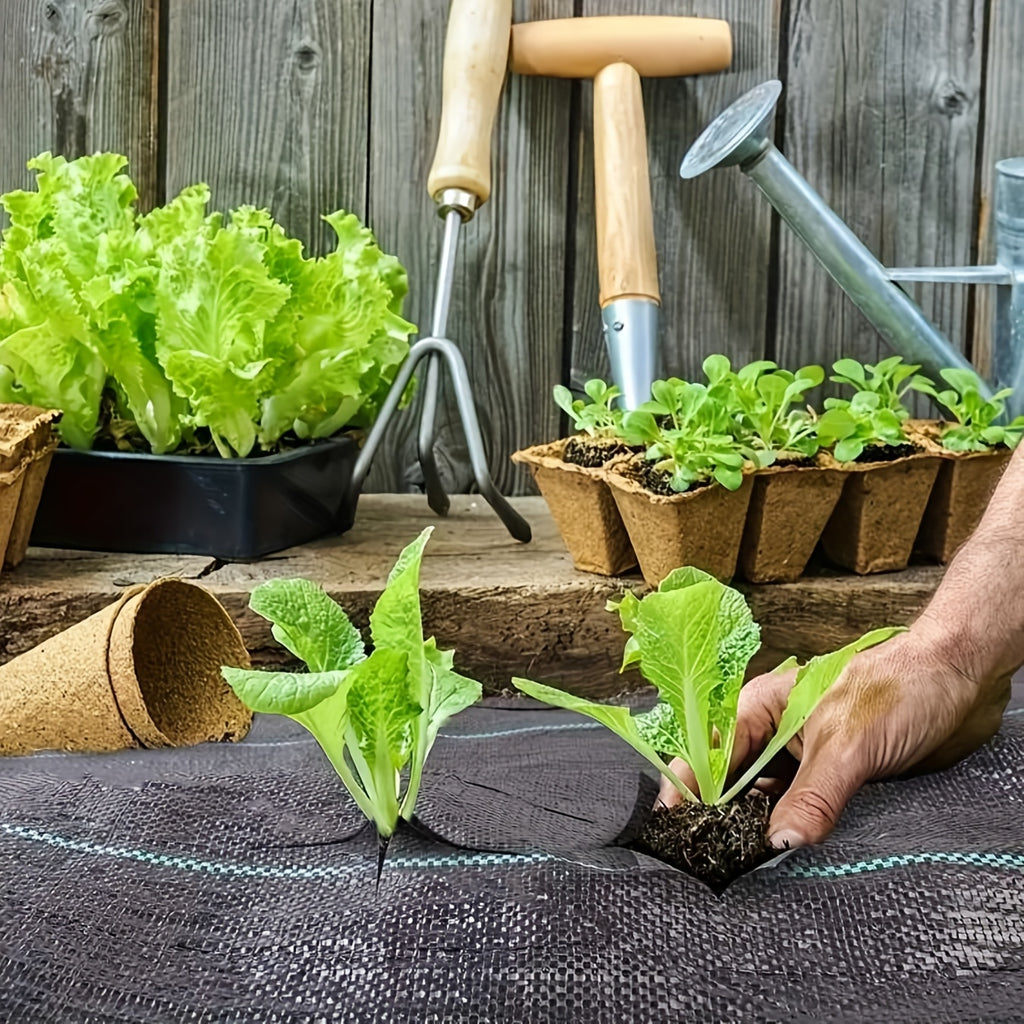 Rouleau de toile anti-mauvaises herbes noire, PP durable, surface texturée, contrôle efficace des mauvaises herbes, idéal fleurs, légumes et aménagement paysager.