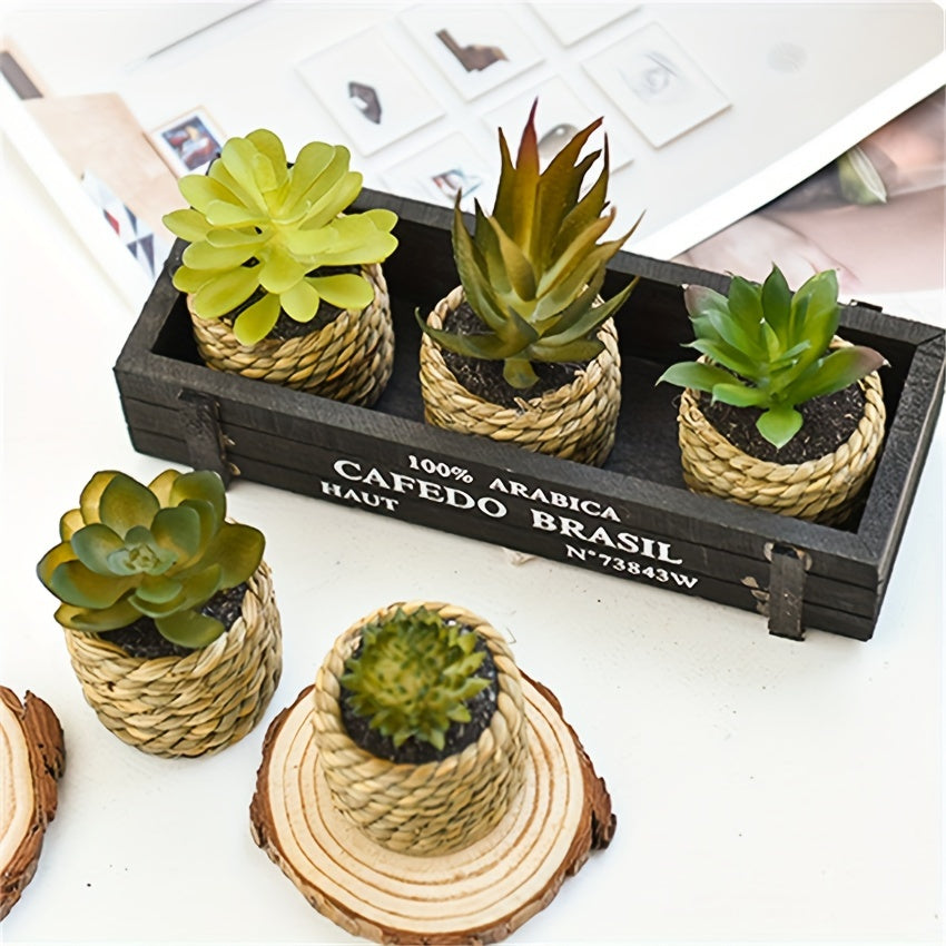 Lot de 5 plantes artificielles en pot Aloé et succulentes en plastique, décor intérieur ou extérieur, bureau, cuisine, mariage, idéal comme cadeau ou décoration maison.