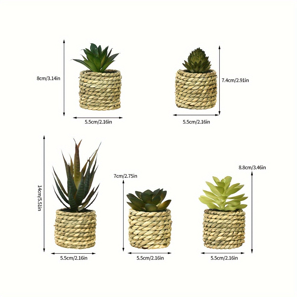 Lot de 5 plantes artificielles en pot Aloé et succulentes en plastique, décor intérieur ou extérieur, bureau, cuisine, mariage, idéal comme cadeau ou décoration maison.