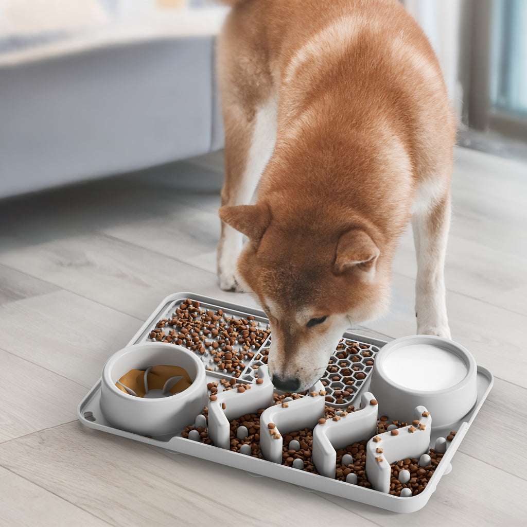 Bol antistress en silicone pour chiens et chats. Bol à quatre sections pour manger lentement, design vague mignon, aide à réduire l'anxiété.