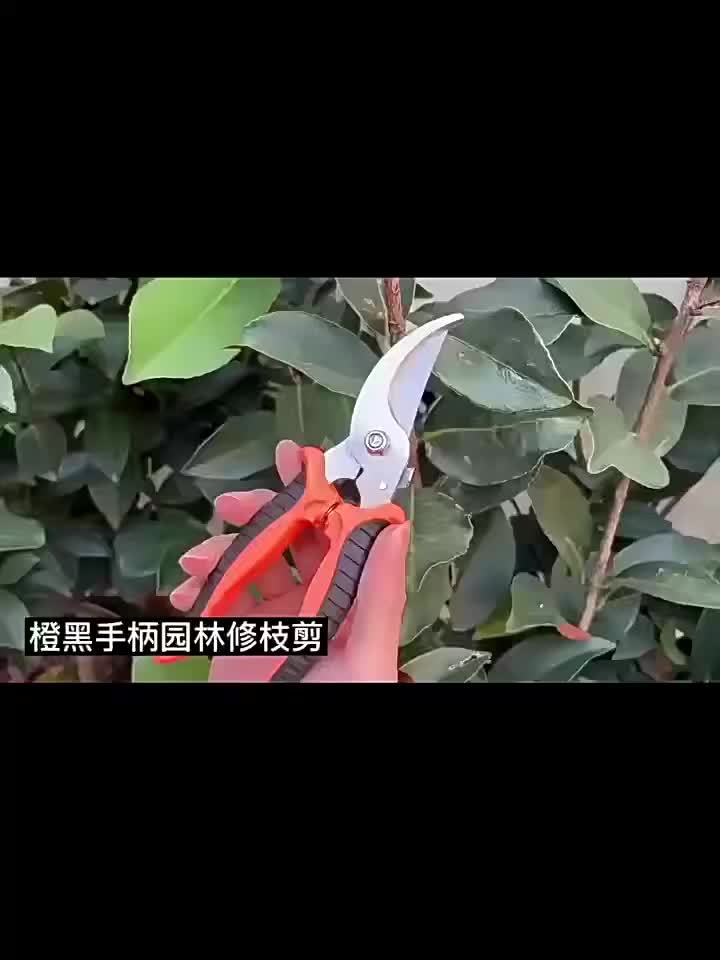 مقص الحديقة هذا مفيد جدًا! يتميز بمقبض أخضر وأسود مريح، وآلية زنبركية تُسهّل فتحه وإغلاقه.