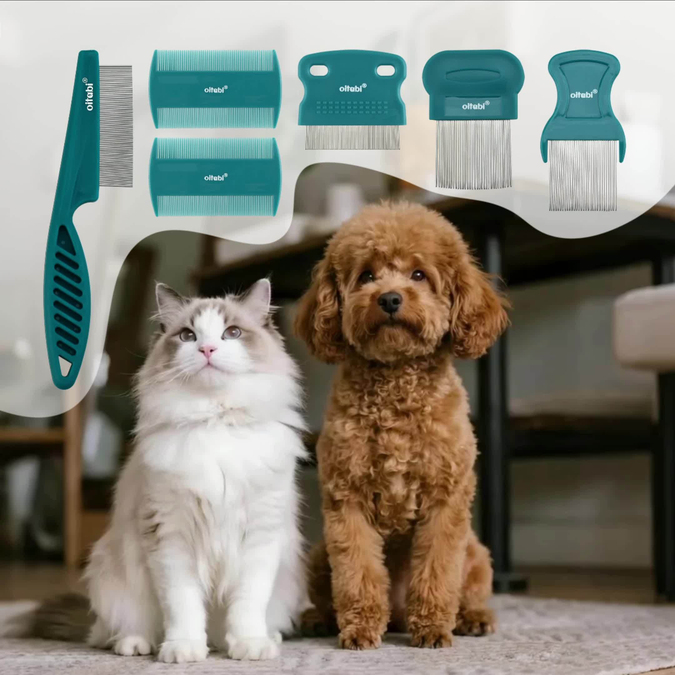 Peigne anti-puces et lentes Oitabi (3/4/5/6 pcs). En acier inoxydable, dents arrondies, outil professionnel pour éliminer les taches et démêler les poils.