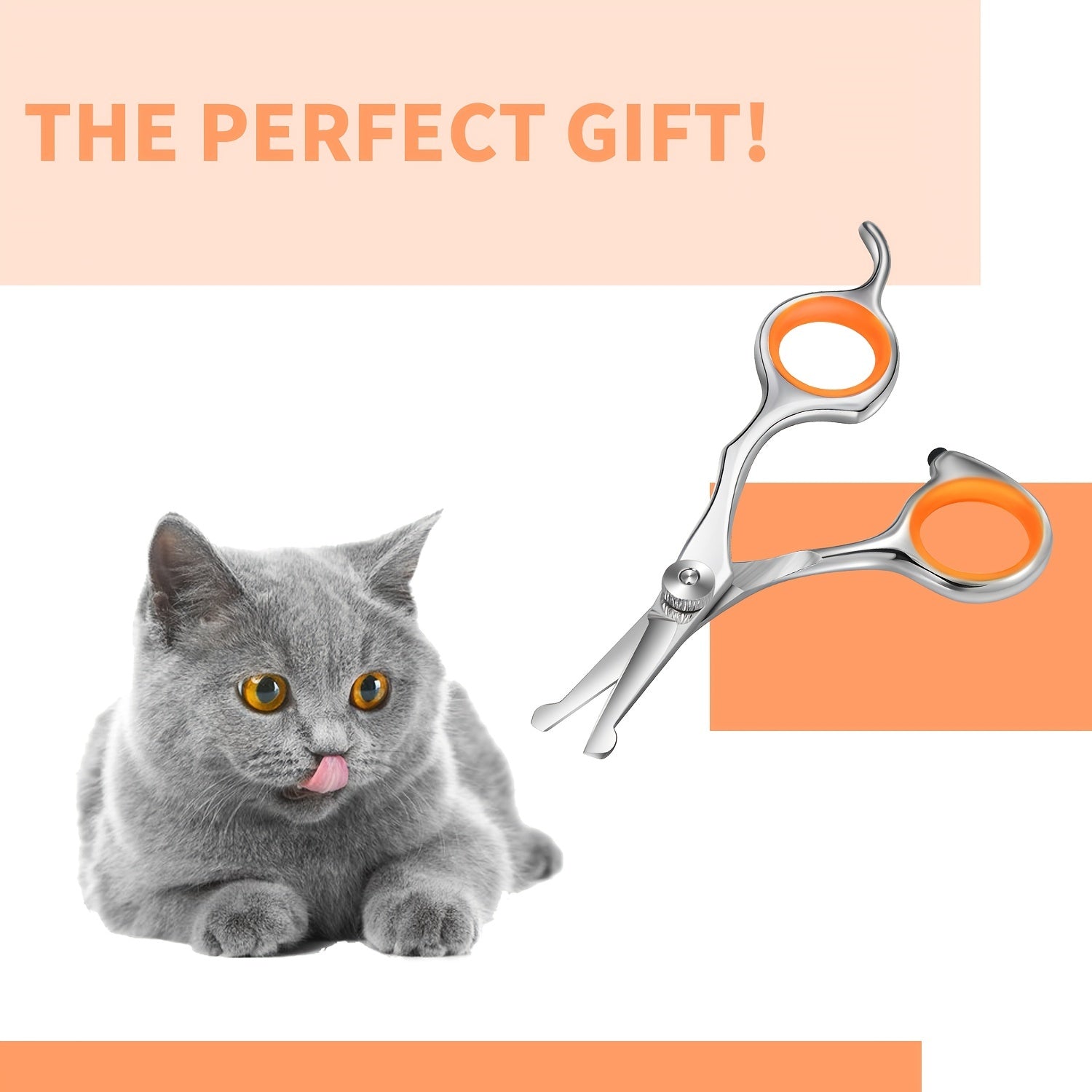 Ciseaux de toilettage sûrs et faciles avec tête ronde. Idéals pour couper les poils des animaux en toute sécurité, pour chiens et chats.