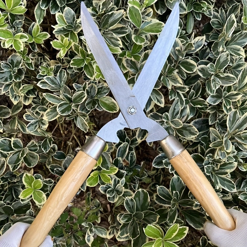 Sécateur professionnel robuste, lame carbone 25 cm, manche ergonomique en noyer antidérapant, idéal pour bordures, haies et taille décorative.