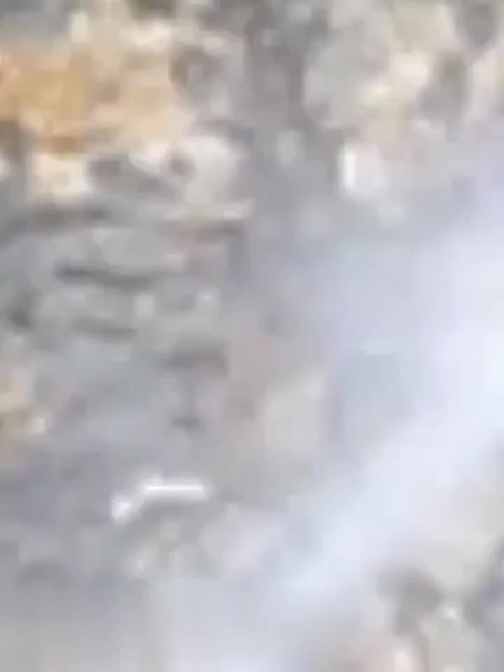 High-Pressure Car Wash Foam Gun with Long Handle - Adjustable Spray Nozzle, Foam Cannon &amp; Pressure Spray Bottle - Heavy-Duty Plastic Construction