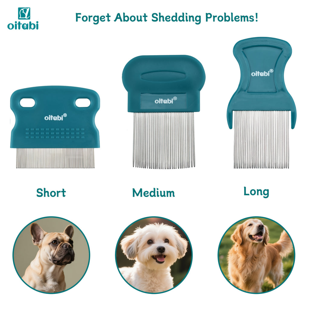 Peigne anti-puces et lentes Oitabi (3/4/5/6 pcs). En acier inoxydable, dents arrondies, outil professionnel pour éliminer les taches et démêler les poils.