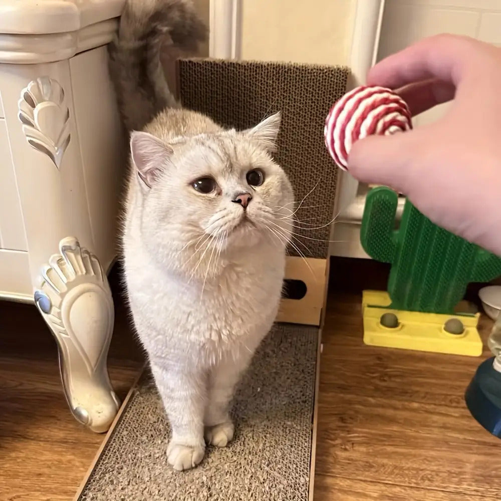 Lot de 3 ou 6 balles à griffer en sisal, résistantes et non toxiques, favorisent hygiène dentaire, jouet interactif pour chats.