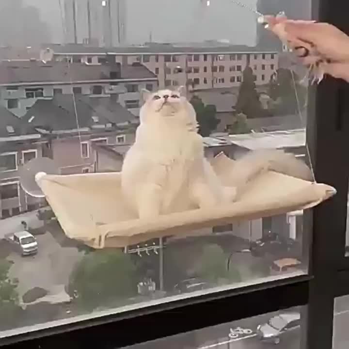 1pc Cozy Cat Window Perch - Hammock Bed for Cats, Durable PVC Material, Easy to Hang, Ideal for Sunbathing and Lounging, Provides Warmth and Comfort, Cat Hammock