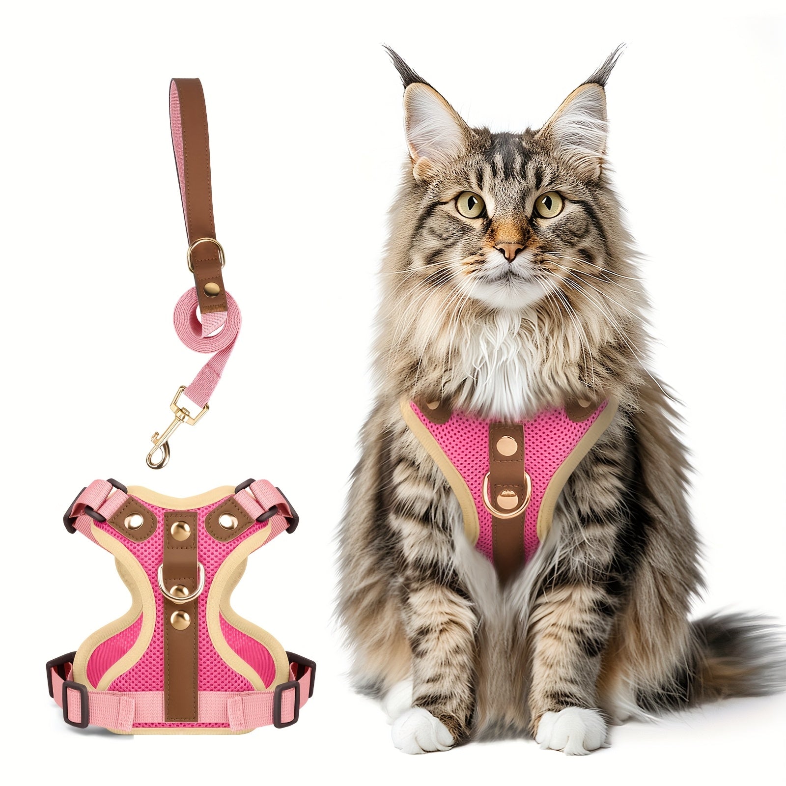 Harnais et laisse haut de gamme pour chats et chiens, maillage respirant, résistant, rivets décoratifs, D-ring doré, idéal promenades et entraînement.