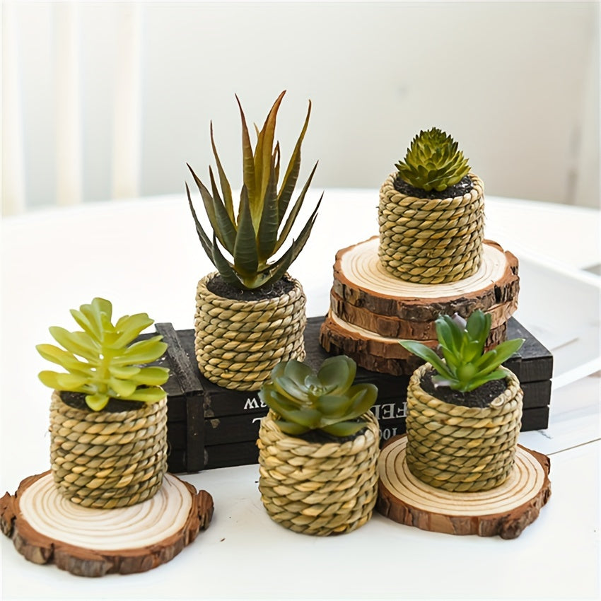 Lot de 5 plantes artificielles en pot Aloé et succulentes en plastique, décor intérieur ou extérieur, bureau, cuisine, mariage, idéal comme cadeau ou décoration maison.