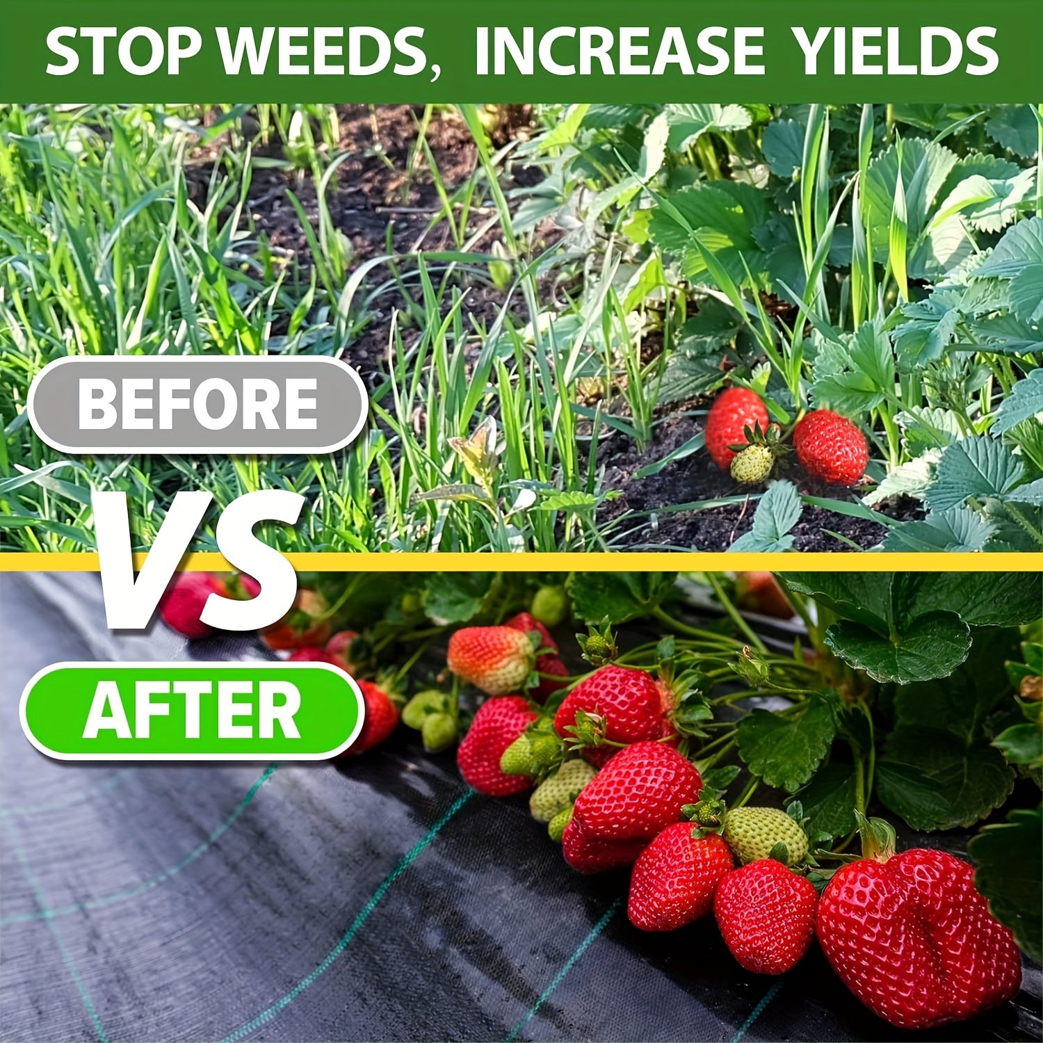 Rouleau de toile anti-mauvaises herbes noire, PP durable, surface texturée, contrôle efficace des mauvaises herbes, idéal fleurs, légumes et aménagement paysager.