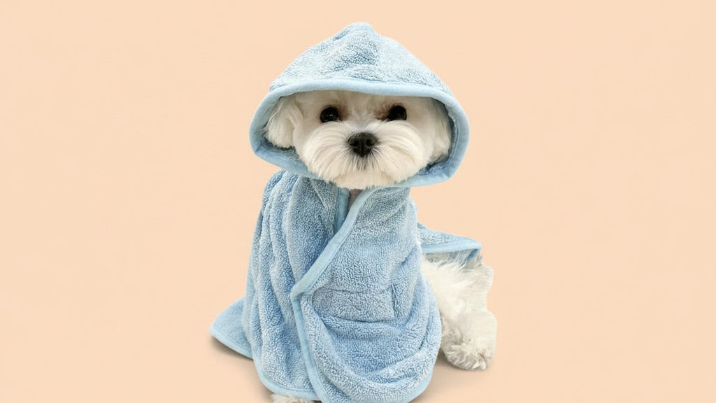 Ultra-Absorbent Microfiber Pet Bathrobe for Small to Medium Dogs &amp; Cats - Quick Dry, Soft, All-Season Comfort with Secure Hook-and-loop Fastener Closure