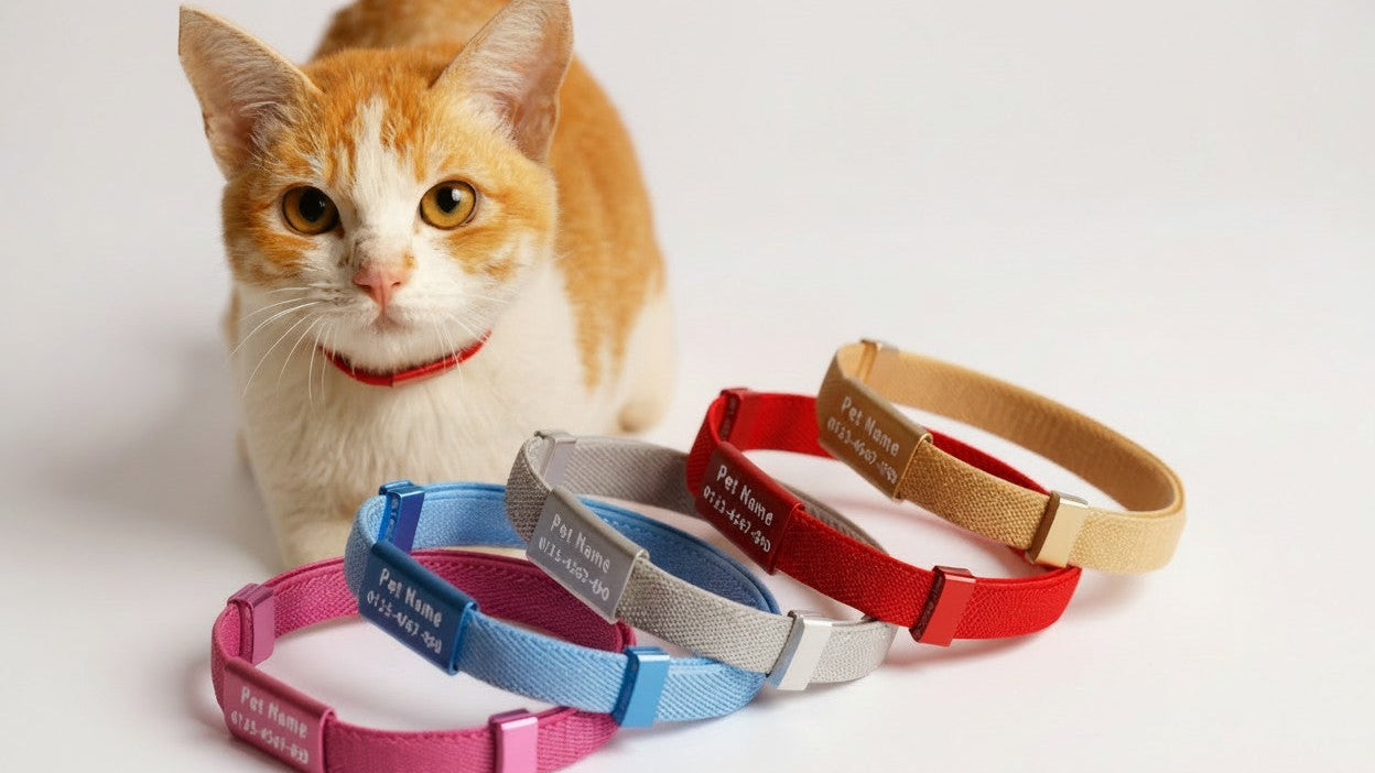 Collier chat personnalisé avec nom, métal robuste, sécurité détachable, léger, extensible, compatible médailles, disponible diverses couleurs.