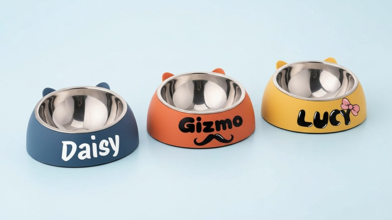 Bol incliné personnalisé en acier inoxydable pour chats et chiens, protège le cou, gravure possible, durable, accessoire repas idéal pour animaux.