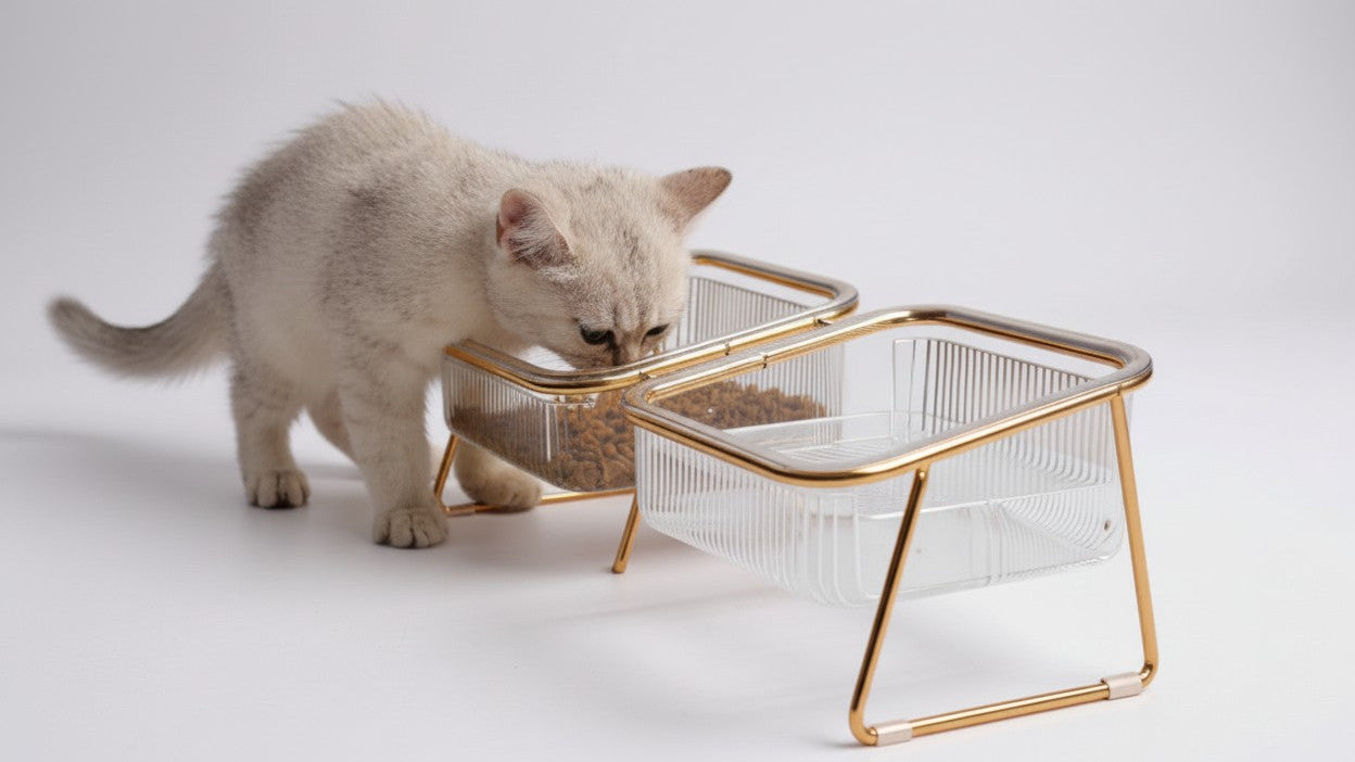 Bol double transparent vertical pour chats, facilite alimentation et hydratation, pratique et ergonomique, accessoire essentiel pour le bien-être félin.