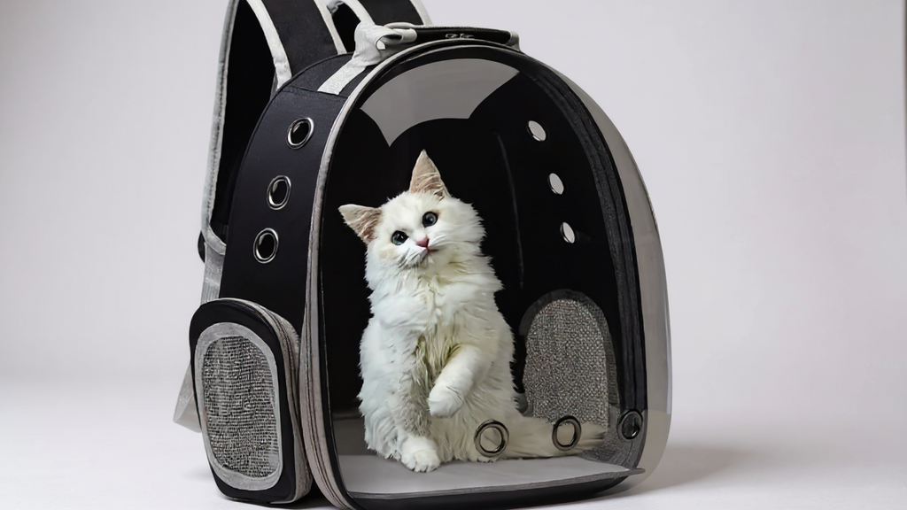 Sac à dos transparent grande capacité pour chat, respirant et portable, double bretelles, fermeture zippée, idéal voyages et sorties, cadeau.